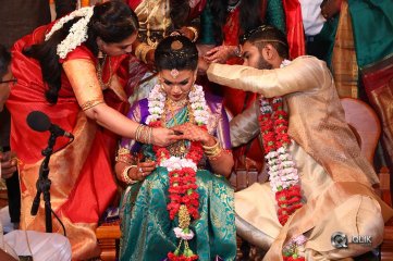 Parthiban and Seetha Daughter Keerthana Wedding Photos